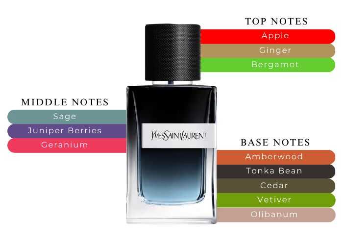 YSL Y EDP | 100 mL | Men
