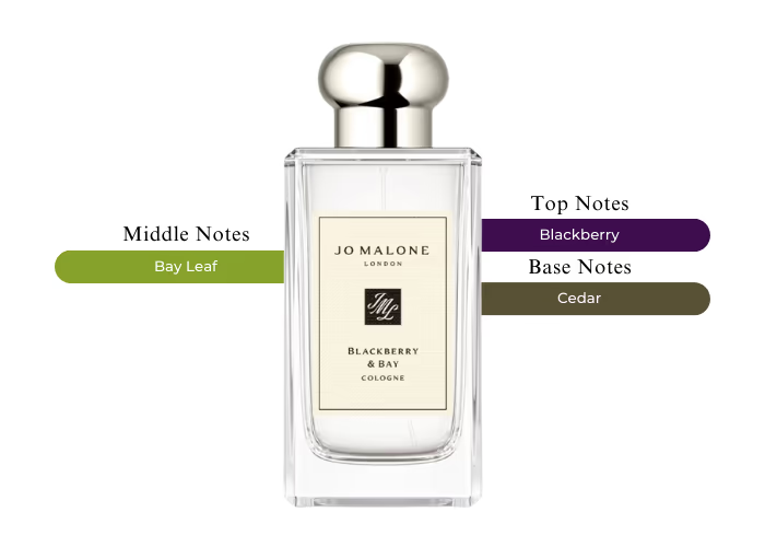 Jo Malone Blackberry & Bay Cologne | 100 mL | Unisex