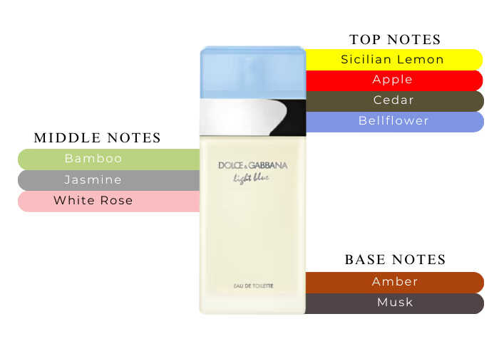 Dolce and Gabbana Light Blue EDT | 100 mL | Women