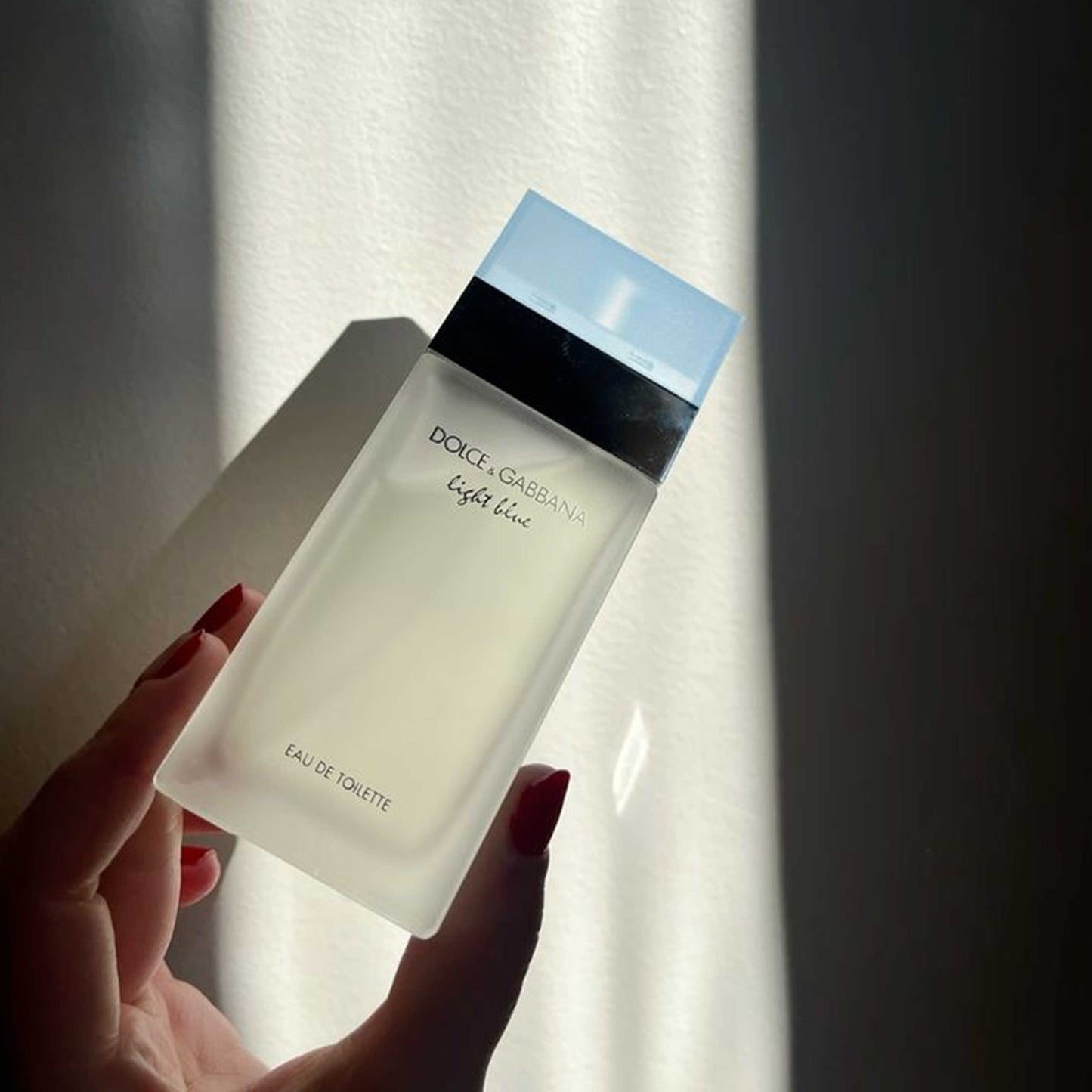 Dolce and Gabbana Light Blue EDT | 100 mL | Women