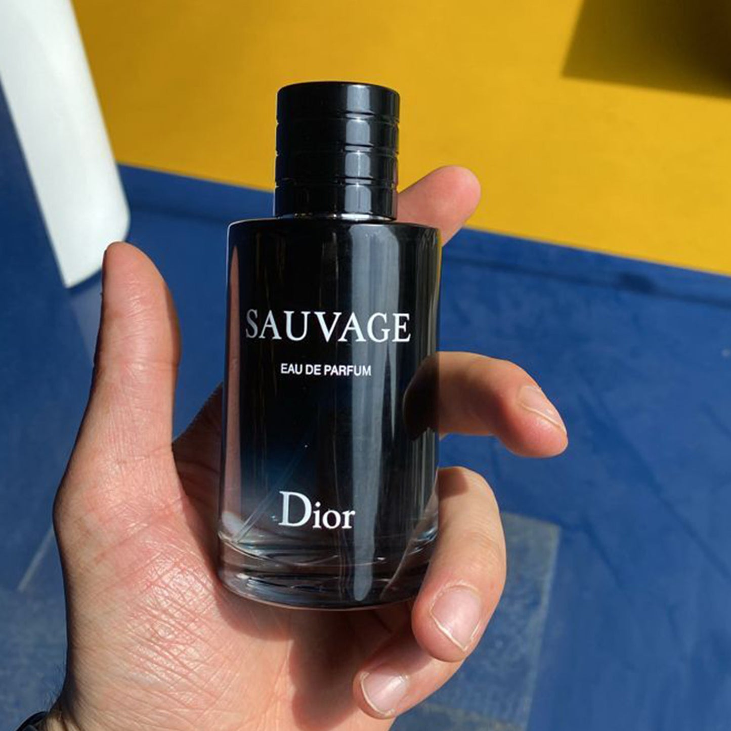 Dior Sauvage EDP | 100 mL | Men